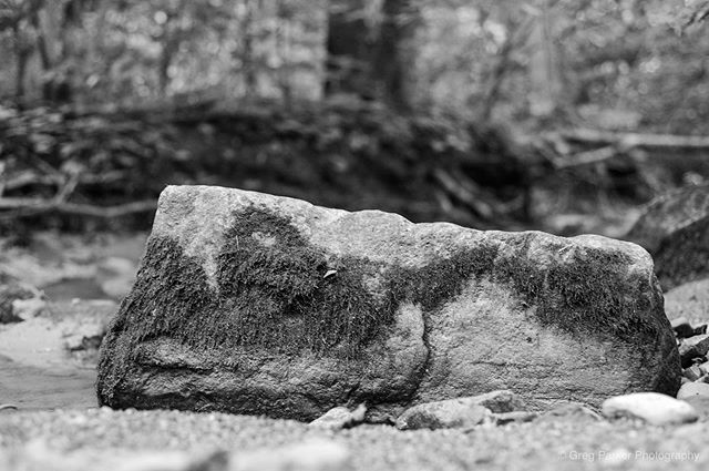 #D700 #nikond700 #kiserlake #gregparkerphotography #gregparkernm8b #blackandwhitephotographylovers #blackandwhite_photos